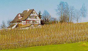 Portrait Bild